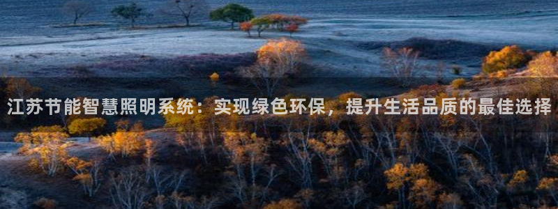 千亿国际:江苏节能智慧照明系统:实现绿色环保,提升生活品质的最佳选择