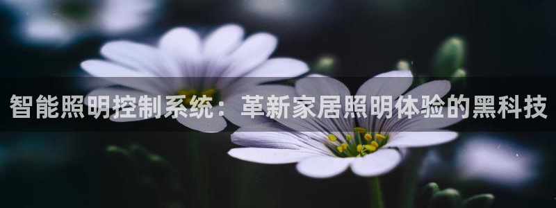 千亿国际董事长是谁呀:智能照明控制系统:革新家居照明体验的黑科技