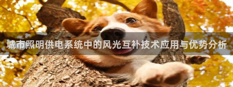 千亿国际是什么平台:城市照明供电系统中的风光互补技术应用与优势分析