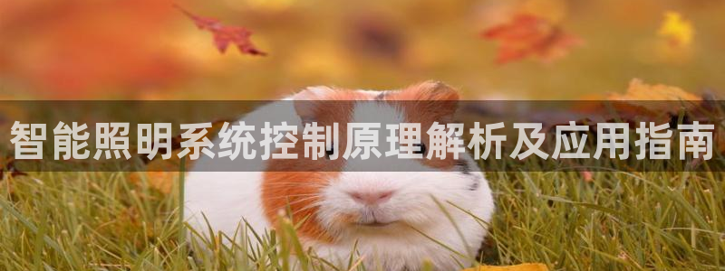 千亿国际跟盛辉是一家的吗知乎：智能照明系统控制原理解析及应用指南