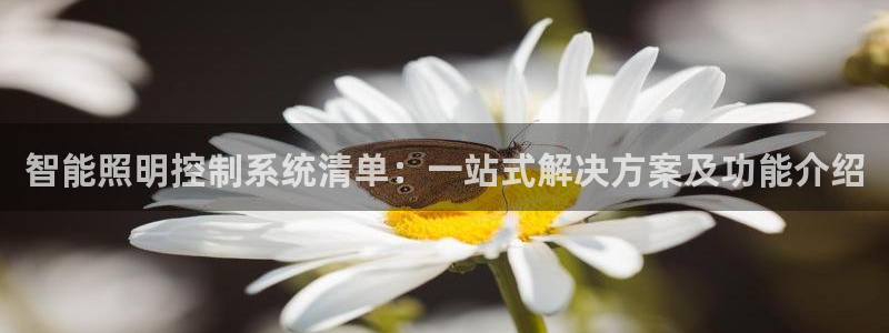 千亿国际pt游戏有哪些:智能照明控制系统清单:一站式解决方案及功能介绍