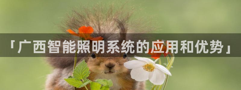 千亿国际手机官网:「广西智能照明系统的应用和优势」