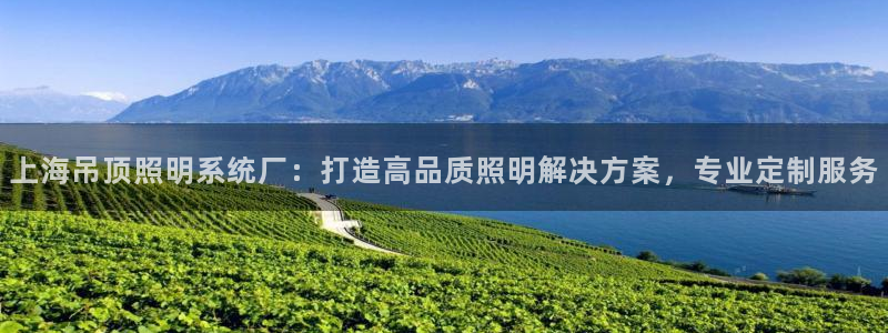千亿国际手机版下载:上海吊顶照明系统厂:打造高品质照明解决方案,专业定制服务