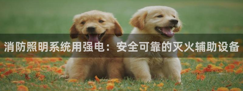 千亿国际平台:消防照明系统用强电:安全可靠的灭火辅助设备