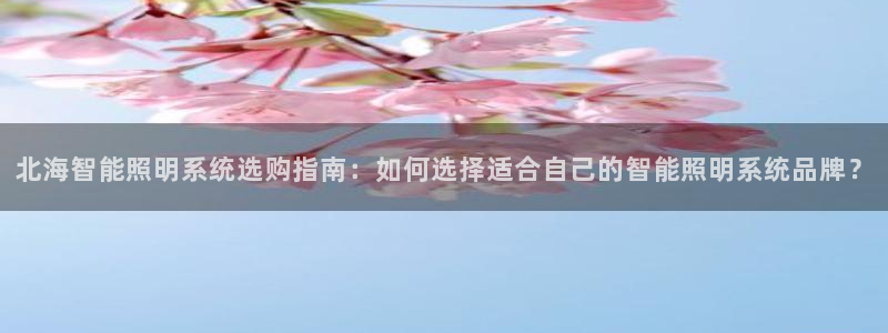 千亿国际服务平台怎么样:北海智能照明系统选购指南:如何选择适合自己的智能照明系统品牌?
