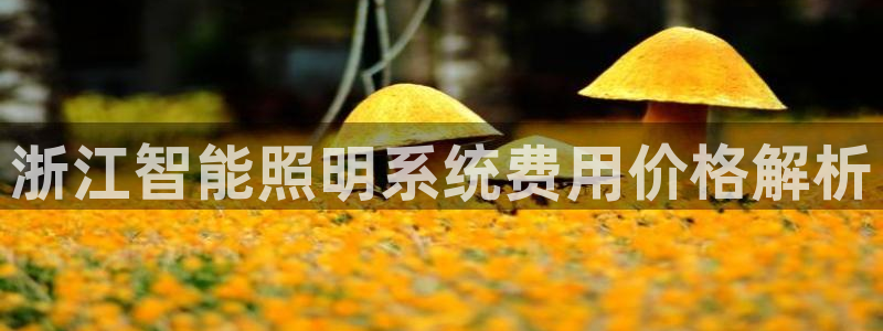 千亿国际希沃赋能教育:浙江智能照明系统费用价格解析
