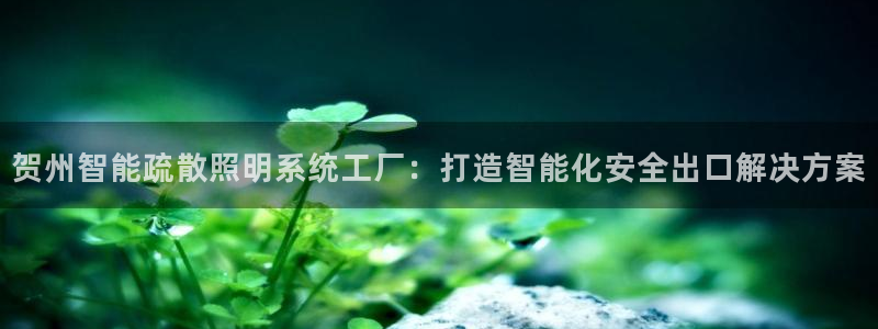 千亿国际怎么下载啊:贺州智能疏散照明系统工厂:打造智能化安全出口解决方案