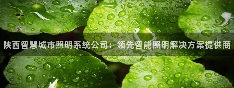 千亿国际游戏千亿官网版：陕西智慧城市照明系统公司：领先智能照明解决方案提供商