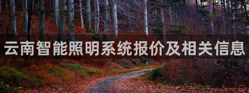 千亿国际pt游戏怎么玩:云南智能照明系统报价及相关信息