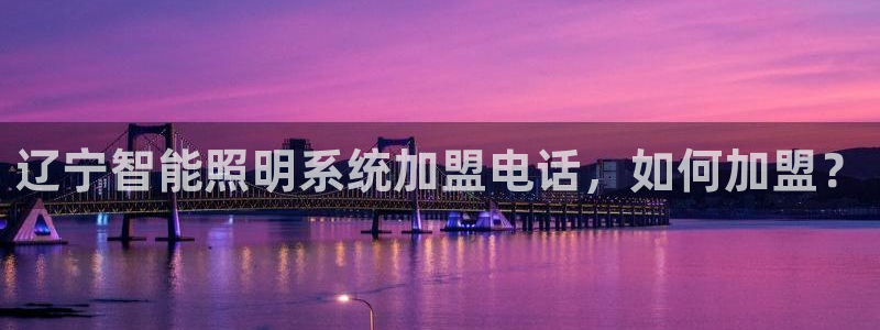 千亿国际集团怎么样:辽宁智能照明系统加盟电话,如何加盟?
