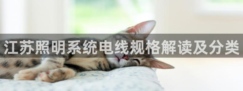 千亿国际(唯一)平台下载:江苏照明系统电线规格解读及分类