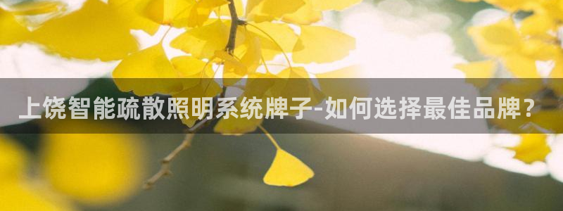 千亿国际平台登录:上饶智能疏散照明系统牌子-如何选择最佳品牌?