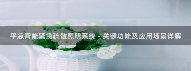 千亿国际手机版下载官网:平凉智能紧急疏散照明系统 - 关键功能及应用场景详解