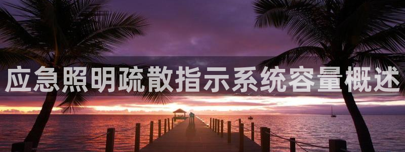 千亿国际2020官方网站pkufli9.201：应急照明疏散指示系统容量概述