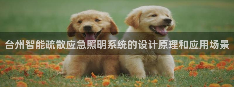 千亿国际手机官网app：台州智能疏散应急照明系统的设计原理和应用场景