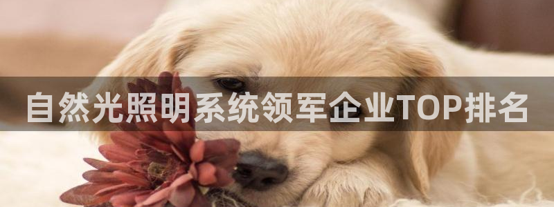 qy886千亿国际下载