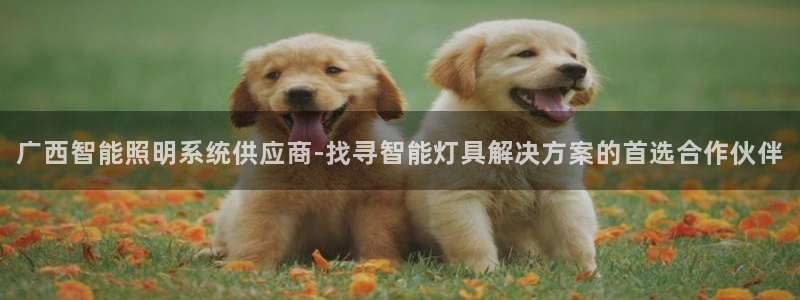 千亿国际唯一手机官网