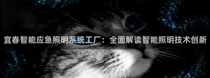 千亿国际网页版