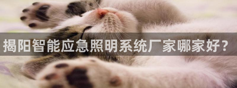 千亿国际董事长是谁