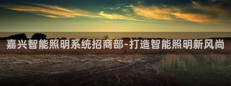 千亿国际的官网入口