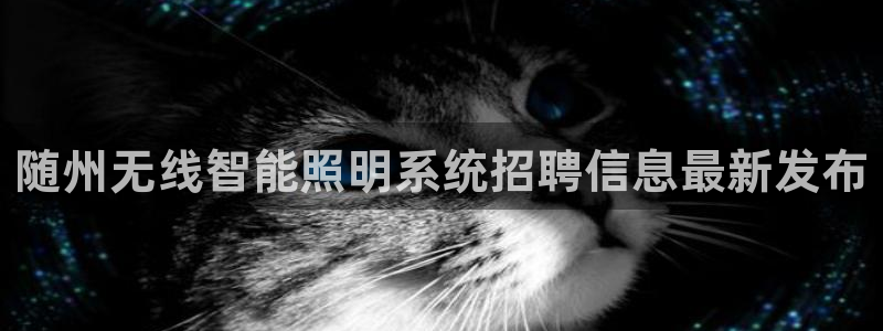 千亿国际网站多少