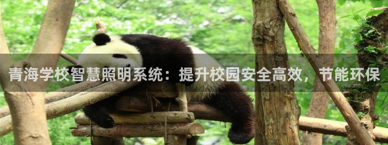 千亿国际pt游戏