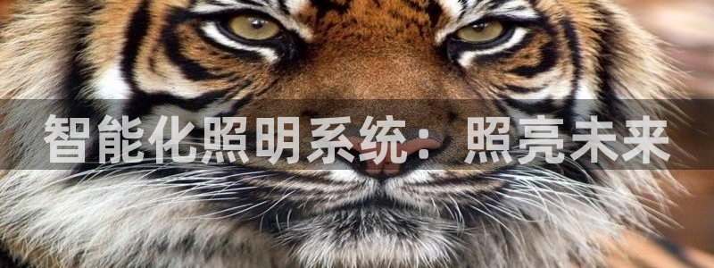 千亿国际线粒体
