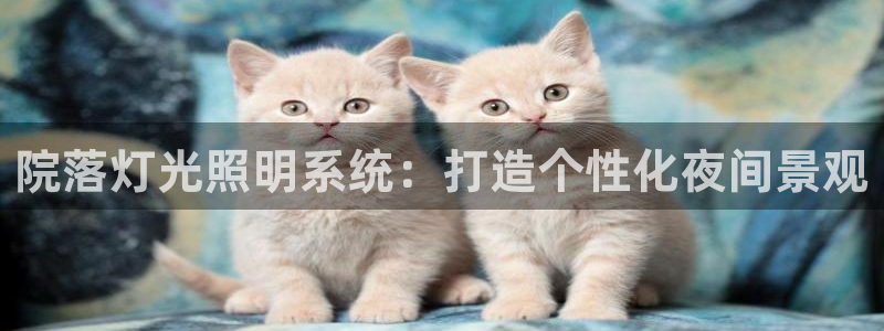 千亿国际公司网址