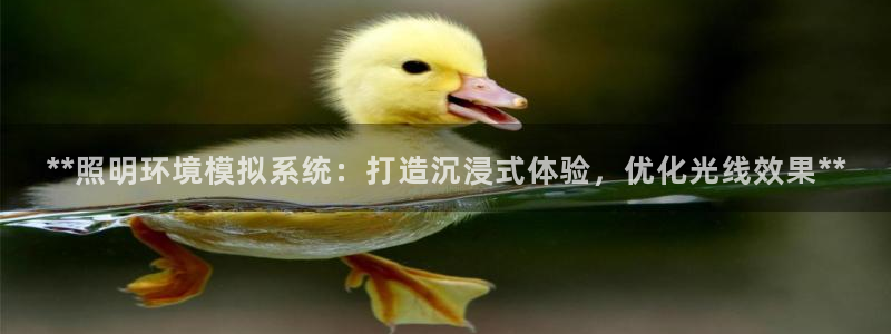 千亿国际在线网页