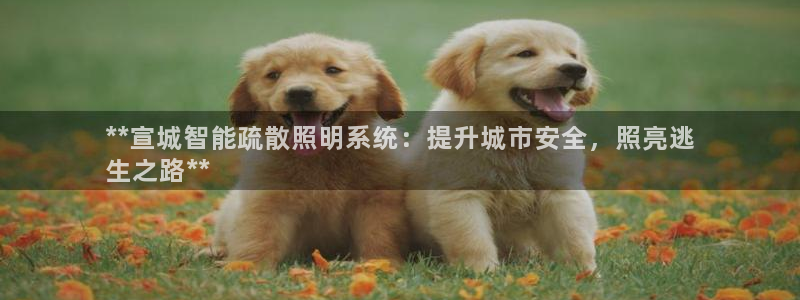 千亿国际2021官方网站baoli5.10