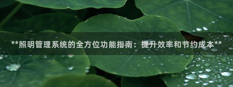 千亿国际2020官方网站pkufli9.201