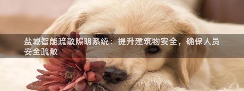 千亿国际跟盛辉是一家的吗是真的吗