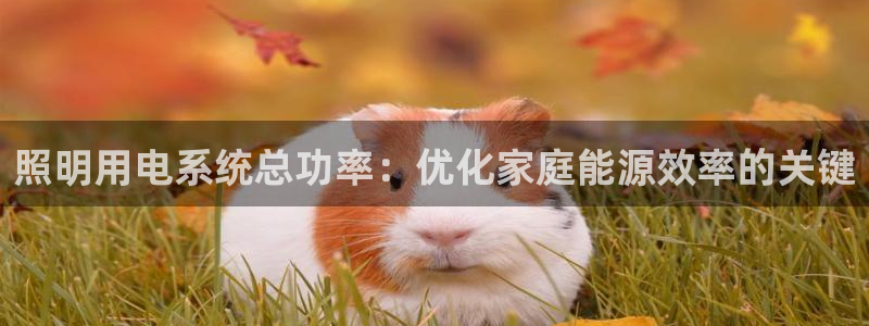 千亿国际手机版唯一官网下载：照明用电系统总功率：优化家庭能源效率的关键
