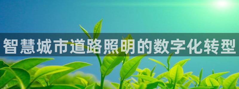 千亿国际线粒体：智慧城市道路照明的数字化转型