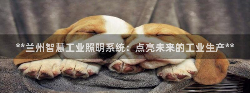千亿国际官方手机版:**兰州智慧工业照明系统:点亮未来的工业生产**