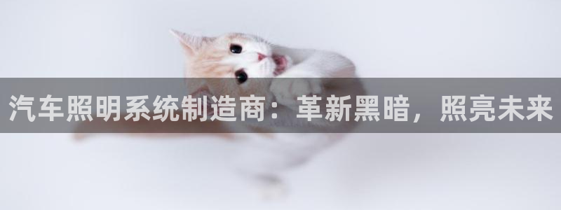 千亿国际全新官网:汽车照明系统制造商:革新黑暗,照亮未来