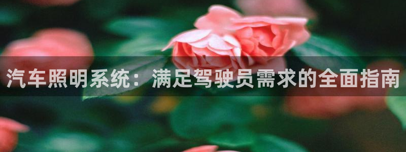 千亿国际平台怎么样可靠吗:汽车照明系统:满足驾驶员需求的全面指南