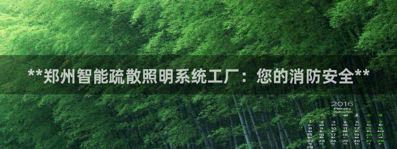 千亿国际系列：**郑州智能疏散照明系统工厂：您的消防安全**