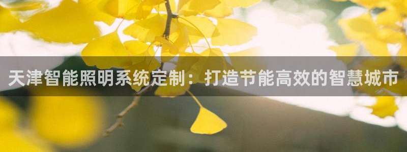 千亿国际官方网站入口在线观看:天津智能照明系统定制:打造节能高效的智慧城市