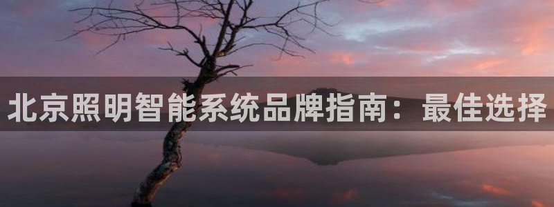 千亿国际唯一平台是什么:北京照明智能系统品牌指南:最佳选择