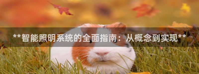 千亿国际账号登录：**智能照明系统的全面指南：从概念到实现**