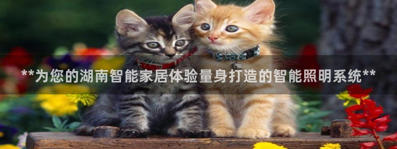 千亿国际公司网址查询：**为您的湖南智能家居体验量身打造的智能照明系统**