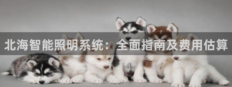 千亿国际pkufli官方网站:北海智能照明系统:全面指南及费用估算