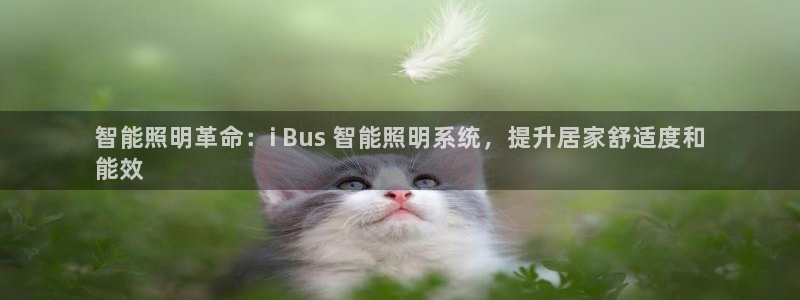 千亿国际的游戏怎么样知乎:智能照明革命:i Bus 智能照明系统,提升居家舒适度和
能效