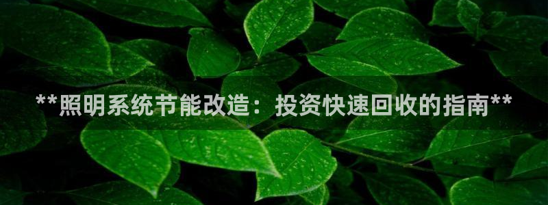 千亿国际手机登录网站:**照明系统节能改造:投资快速回收的指南**