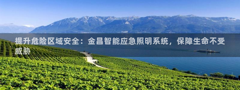 千亿国际手机版下载官网:提升危险区域安全:金昌智能应急照明系统,保障生命不受
威胁