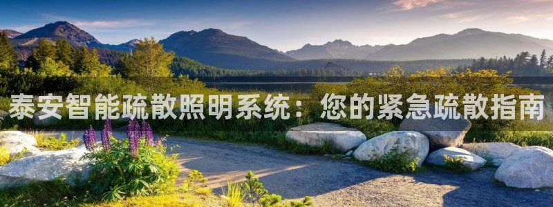 千亿国际2023官方版-3.22 Inurl:fayunsi:泰安智能疏散照明系统:您的紧急疏散指南