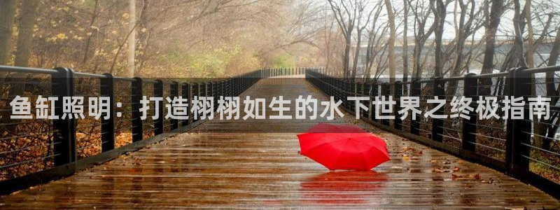 千亿国际游戏登录:鱼缸照明:打造栩栩如生的水下世界之终极指南