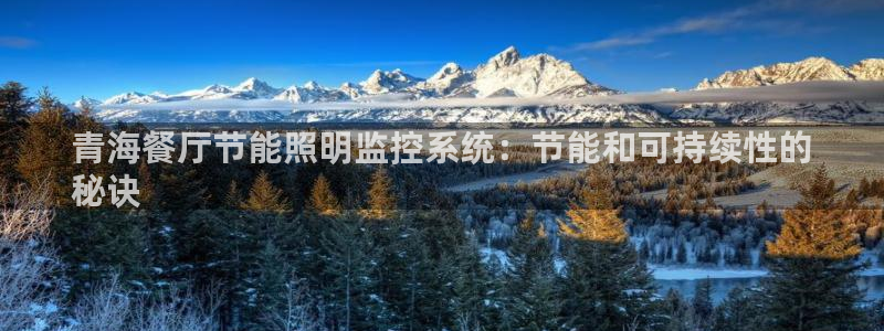 千亿国际平台是什么公司:青海餐厅节能照明监控系统:节能和可持续性的
秘诀