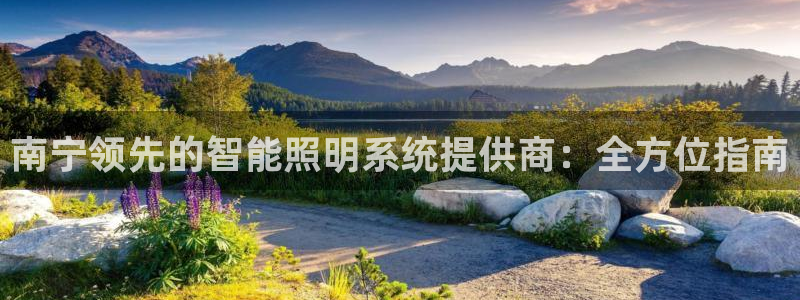 千亿国际在线入口:南宁领先的智能照明系统提供商:全方位指南